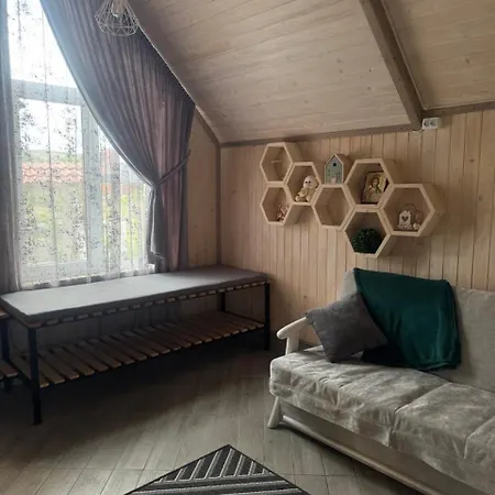 медовий сон Pasichna